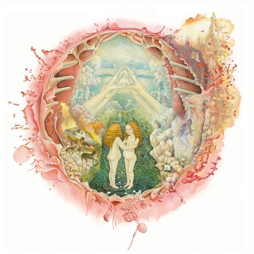 the album cover for Islands - Arm's Way
