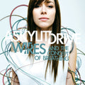 the album cover for A Skylit Drive - Wires...And The Concept Of Breathing