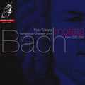 the album cover for Nederlands Kamerkoor - Motets BWV 225-230