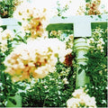 the album cover for Unwed Sailor - Little Wars