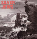 the album cover for Silver Jews - Lookout Mountain, Lookout Sea