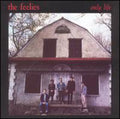 the album cover for The Feelies - Only Life
