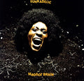 the album cover for Funkadelic - Maggot Brain