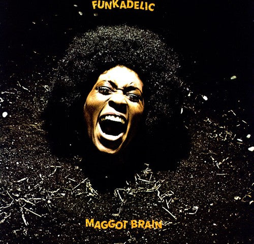 the album cover for Funkadelic - Maggot Brain