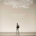 the album cover for My Brightest Diamond - A Thousand Shark's Teeth