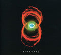 the album cover for Pearl Jam - Binaural