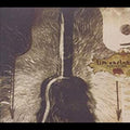 the album cover for Tim Easton - Porcupine