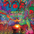 the album cover for The Grip Weeds - Infinite Soul: The Best Of The Grip Weeds