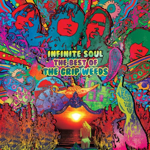 the album cover for The Grip Weeds - Infinite Soul: The Best Of The Grip Weeds