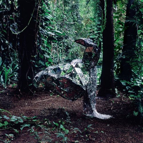 the album cover for CSS - Donkey