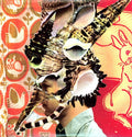 the album cover for Son Ambulance - Someone Else's Deja Vu