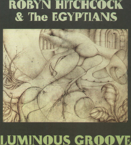 the album cover for Robyn Hitchcock & The Egyptians - Luminous Groove [8 Discs] [With CD] [Bonus Tracks]