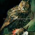 the album cover for Tv Smith - In The Arms Of My Enemy