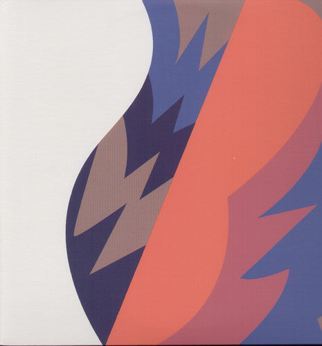 the album cover for The Fiery Furnaces - Remember [Limited Edition] [Download Coupon]