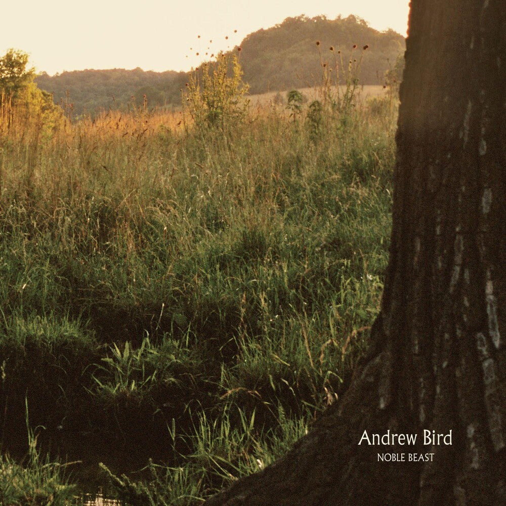 the album cover for Andrew Bird - Noble Beast
