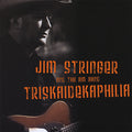 the album cover for Jim Stringer & The AM Band - Triskaidekaphilia
