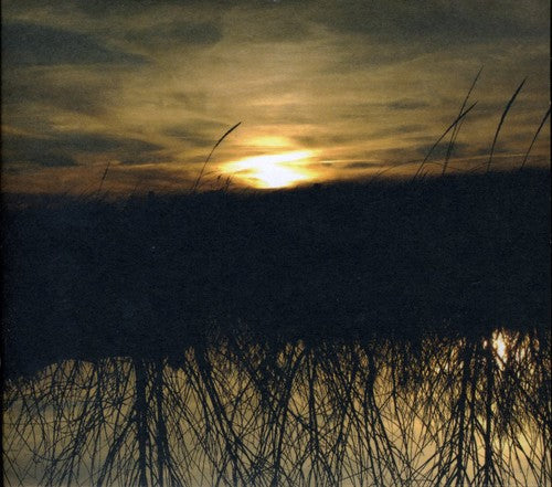 the album cover for Anthony Green - Avalon