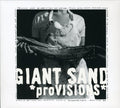 the album cover for Giant Sand - Provisions