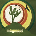 the album cover for Indigenous - Broken Lands