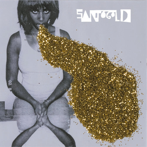 the album cover for Santigold - Santigold