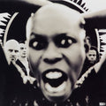 the album cover for Skunk Anansie - Stoosh [Limited Edition]