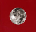 the album cover for Ani DiFranco - Red Letter Year