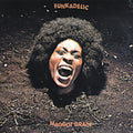 the album cover for Funkadelic - Maggot Brain
