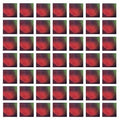 the album cover for Dungen - 4 [Clear LP][Limited Edition]