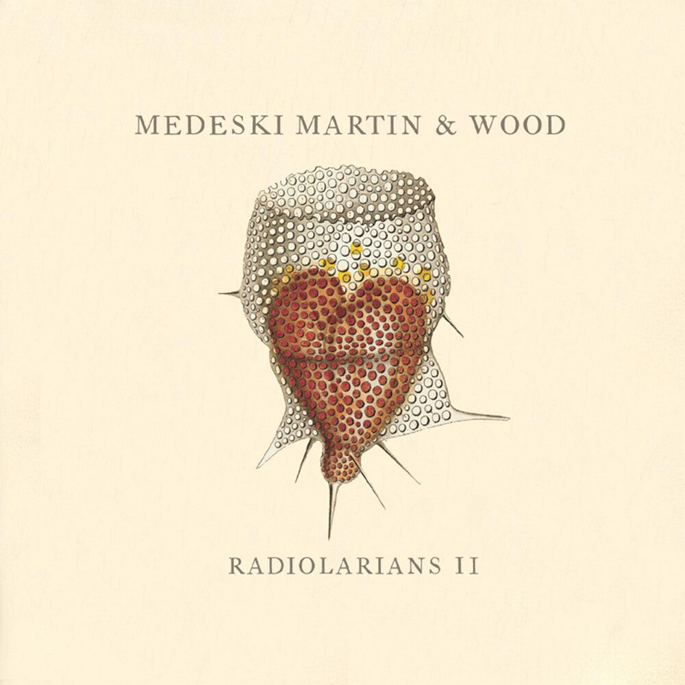 the album cover for Medeski, Martin & Wood - Radiolatians 2