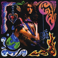 the album cover for Jason Becker - Collection