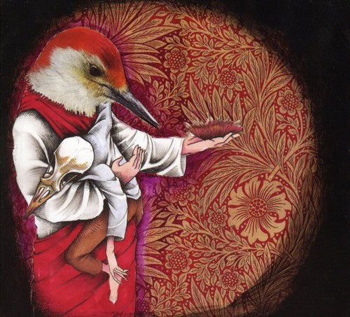 the album cover for Dreamend - The Long Forgotten Friend
