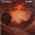 the album cover for Joe Walsh - The Confessor