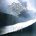 the album cover for Enslaved - Frost