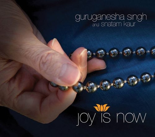 the album cover for Guruganesha Singh - Joy Is Now
