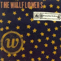 the album cover for The Wallflowers - Bringing Down the Horse