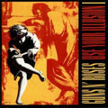 the album cover for Guns N' Roses - Use Your Illusion I