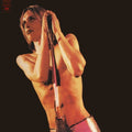 the album cover for Iggy and The Stooges - Raw Power
