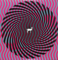 the album cover for Deerhunter - Cryptograms/Flourescent Grey