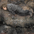 the album cover for Anathallo - Canopy Glow