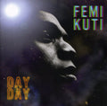 the album cover for Femi Kuti - Day By Day