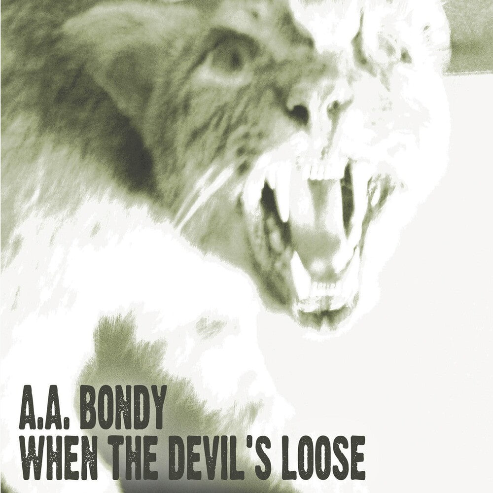 the album cover for A.A. Bondy - When the Devil's Loose
