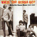 the album cover for Where You Gonna Go Motor City Garage Bands 65-69 - Where You Gonna Go? Motor City Garage Bands 1965-1969