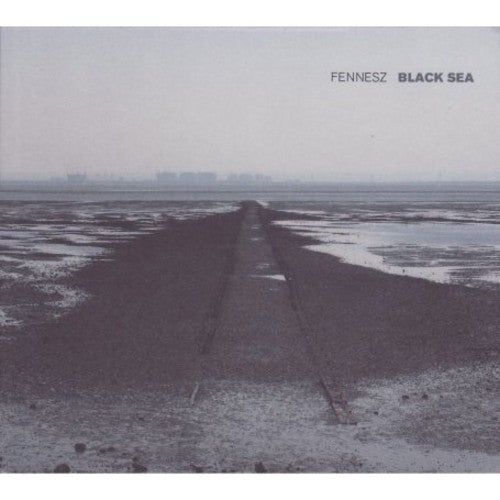 the album cover for Fennesz - Black Sea
