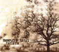 the album cover for Trampled By Turtles - Duluth