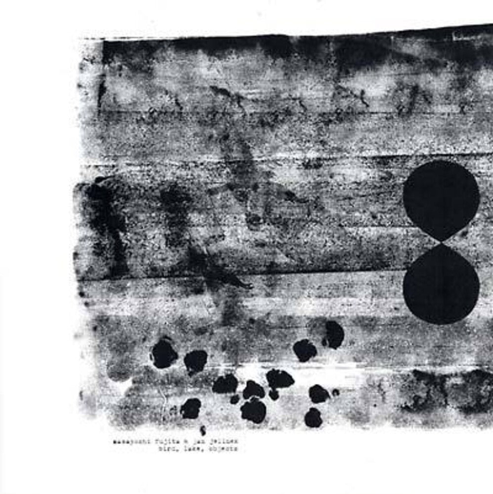 the album cover for Jan Jelinek/Masayoshi Fujita - Bird Lake Objects