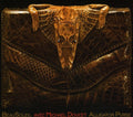 the album cover for Beausoleil - Alligator Purse