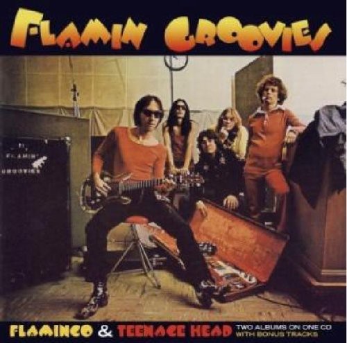 the album cover for Flamin' Groovies - Flamingo/Teenage Head [Import]