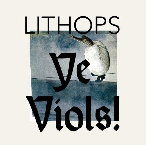 the album cover for Lithops - Ye Viols [Limited Edition]