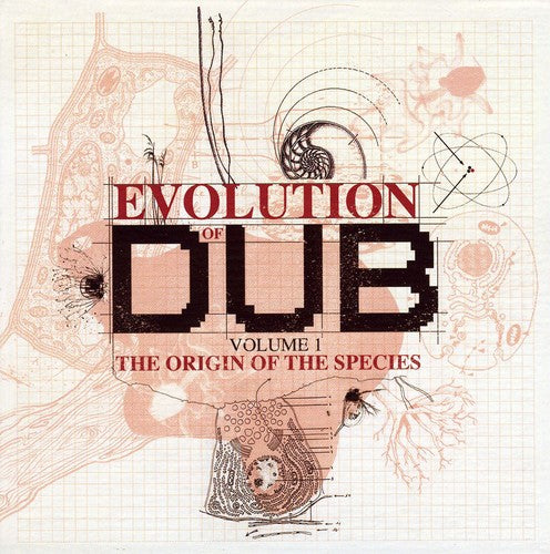 the album cover for Evolution Of Dub-Origin Of The Species - Evolution Of Dub, Vol. 1