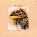 the album cover for Pete Sinfield - Still (Expanded Edition) [Import]